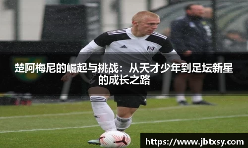 万博max官网
